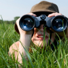 Organic SEO