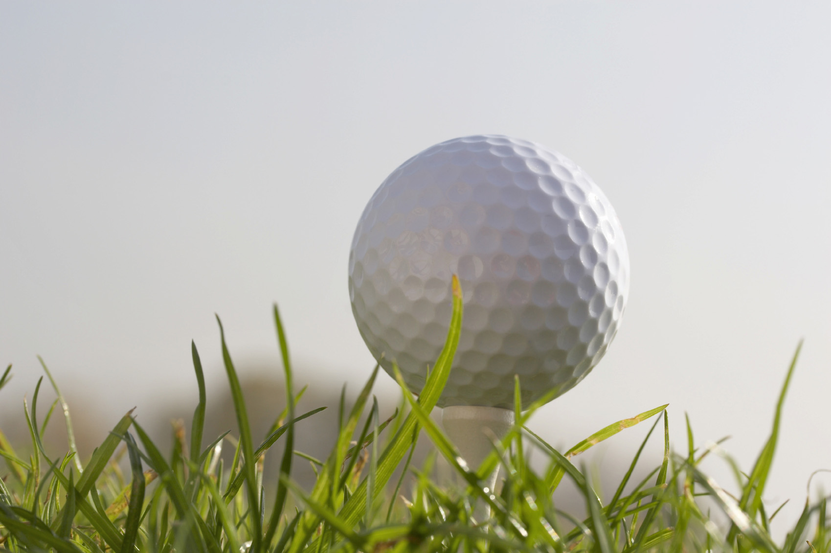 Golf ball on tee on grass