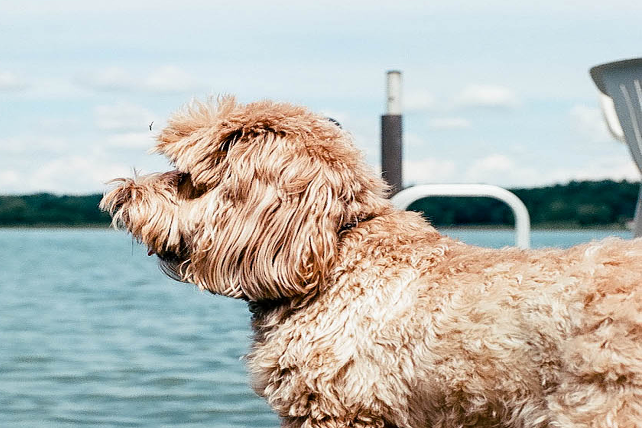 Law firm social media is a waste of time, and here’s why.