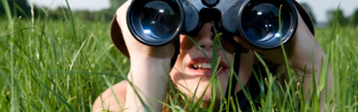 Top Ranked Blogs Get Passed Over By The 2014 ABA Blawg 100